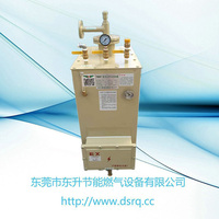 100KG汽化器图片
